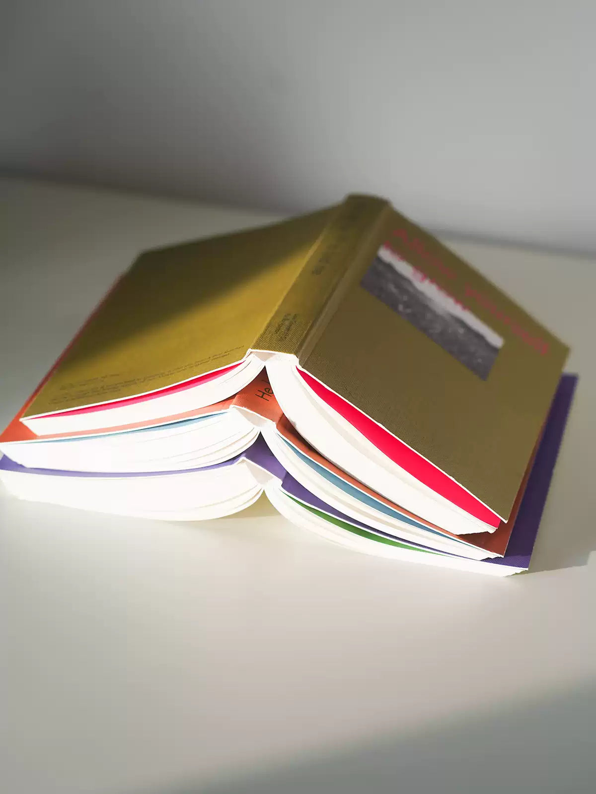 You are important Original Design Notebook