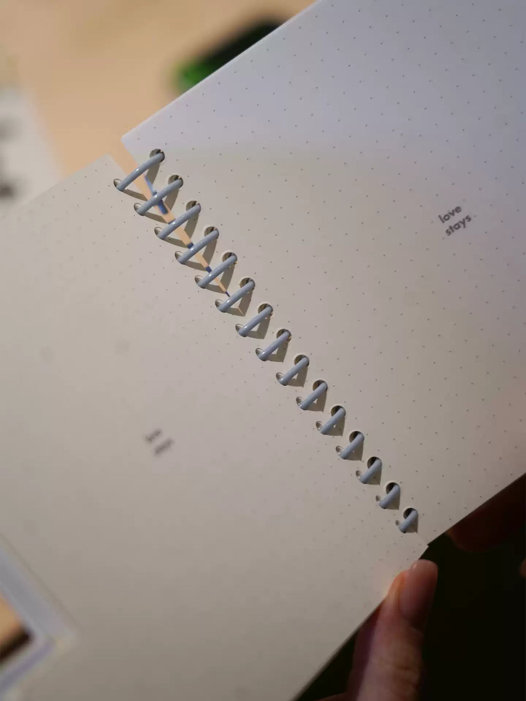 Your heart knows /spiral notebook